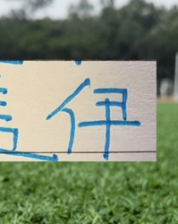 申花大鱼进球了！他穿球衣还是蒋圣龙4号 并用龙哥最熟方式破门